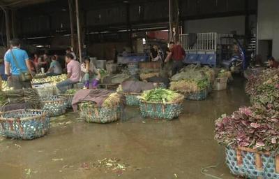 菜价持续走低，应季蔬菜批量上市成主因