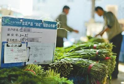 韭菜双证制办理流程与新鲜水果零售业务指南