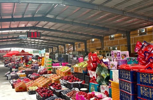 元旦市场供应充足，新鲜水果喜迎佳节